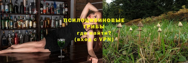 молекула духа Михайловск