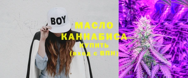молекула духа Михайловск