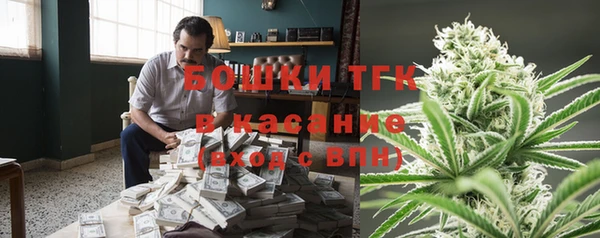 молекула духа Михайловск