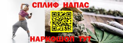 мдпв Донской