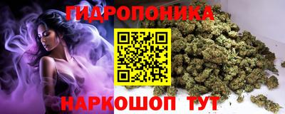 мдпв Донской