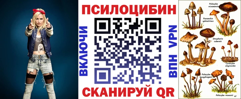 Галлюциногенные грибы Magic Shrooms сколько стоит Заинск