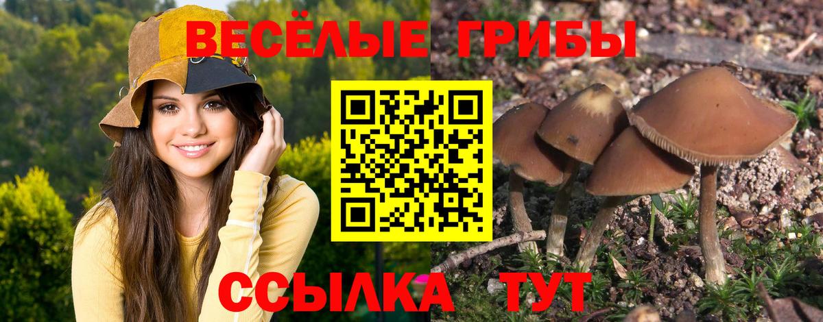 Псилоцибиновые грибы ЛСД  Вход с VPN  Заинск 