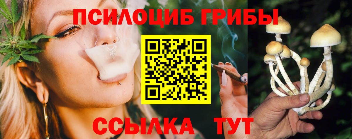 Галлюциногенные грибы мицелий Заинск